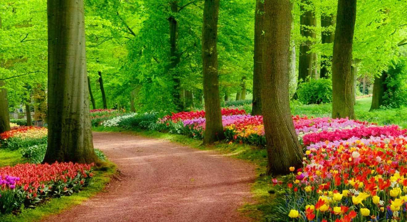 Thematic Garden